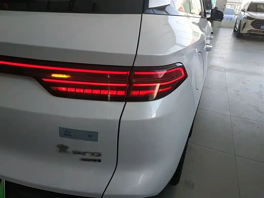 BYD Pro New Energy — фото 9