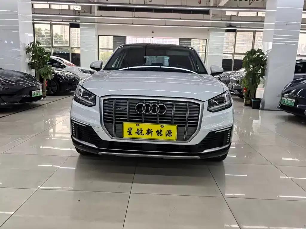 Audi Q2L e-tron 2021 из CN, фото 9