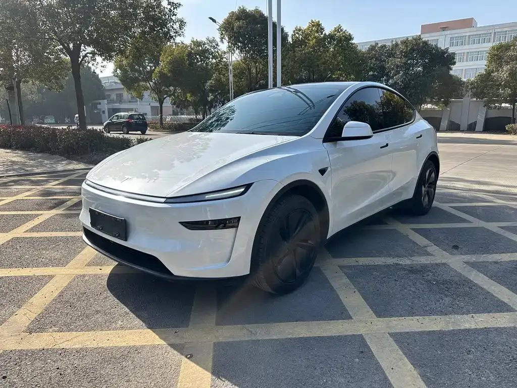 Tesla Model Y 2025 из CN, фото 1