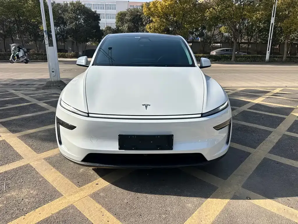 Tesla Model Y 2025 из CN, фото 6