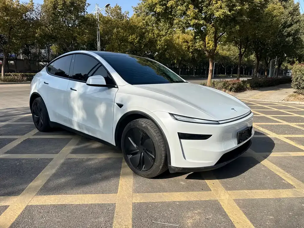 Tesla Model Y 2025 из CN, фото 9