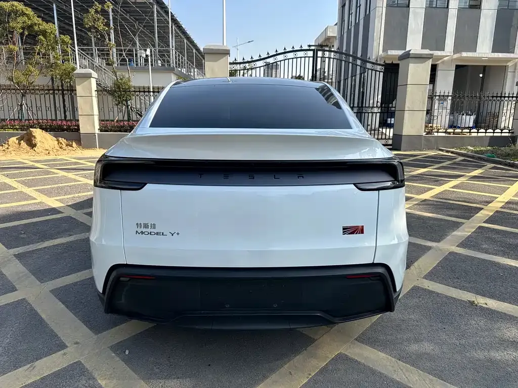Tesla Model Y 2025 из CN, фото 8