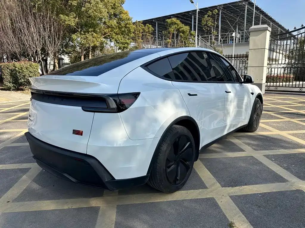 Tesla Model Y 2025 из CN, фото 5