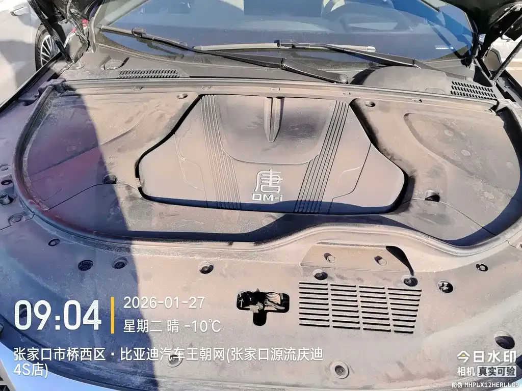 BYD Tang New Energy 2025 из CN, фото 4