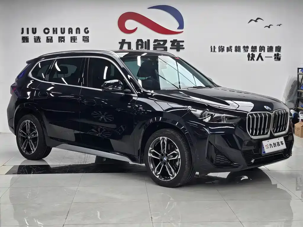 BMW X1 2023 из CN, фото 9