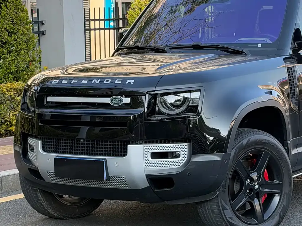 Land Rover Defender 2021 из CN, фото 4