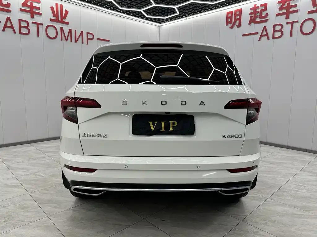 Skoda Karoq 2022 из CN, фото 8