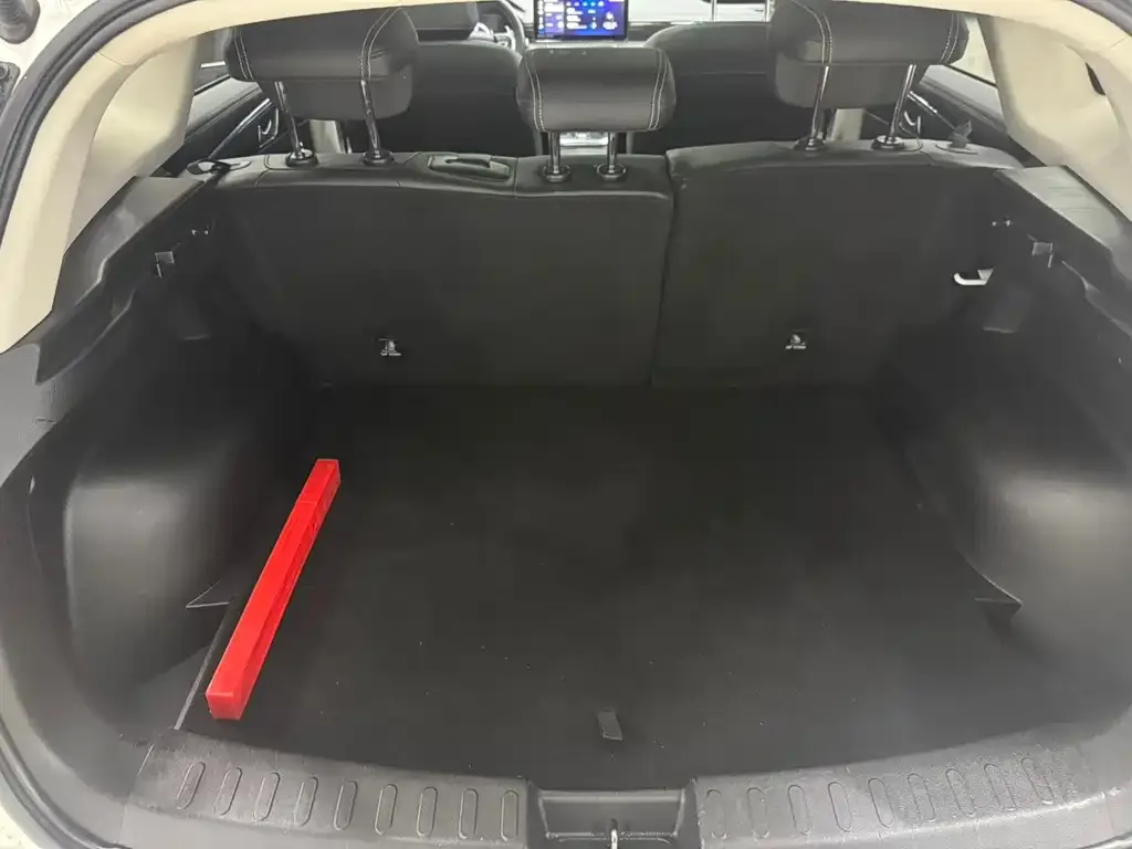 Haval Chulian 2021 из CN, фото 4