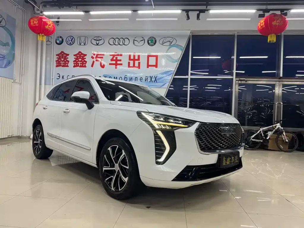 Haval Chulian 2021 из CN, фото 9