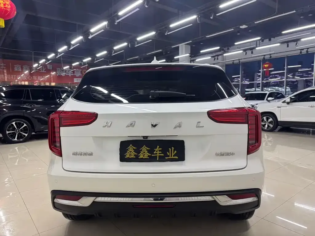 Haval Chulian 2021 из CN, фото 2