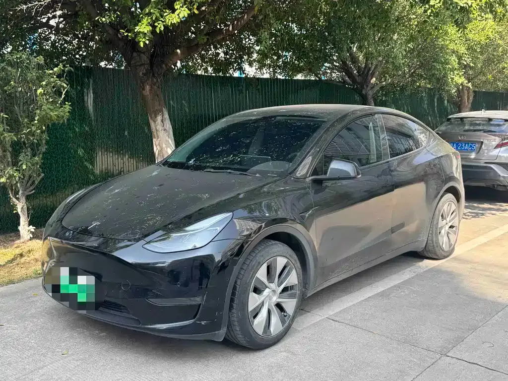 Tesla Model Y 2021 из CN, фото 1