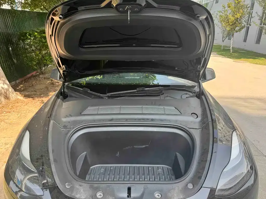 Tesla Model Y 2021 из CN, фото 6