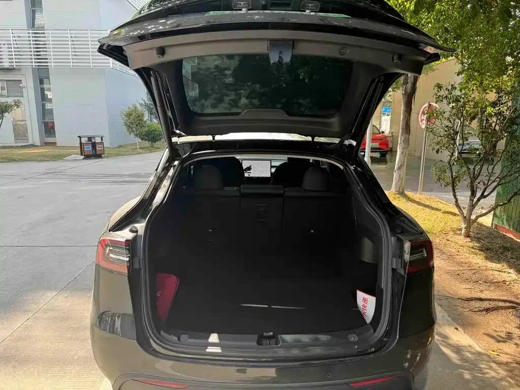 Tesla Model Y 2021 из CN, фото 8