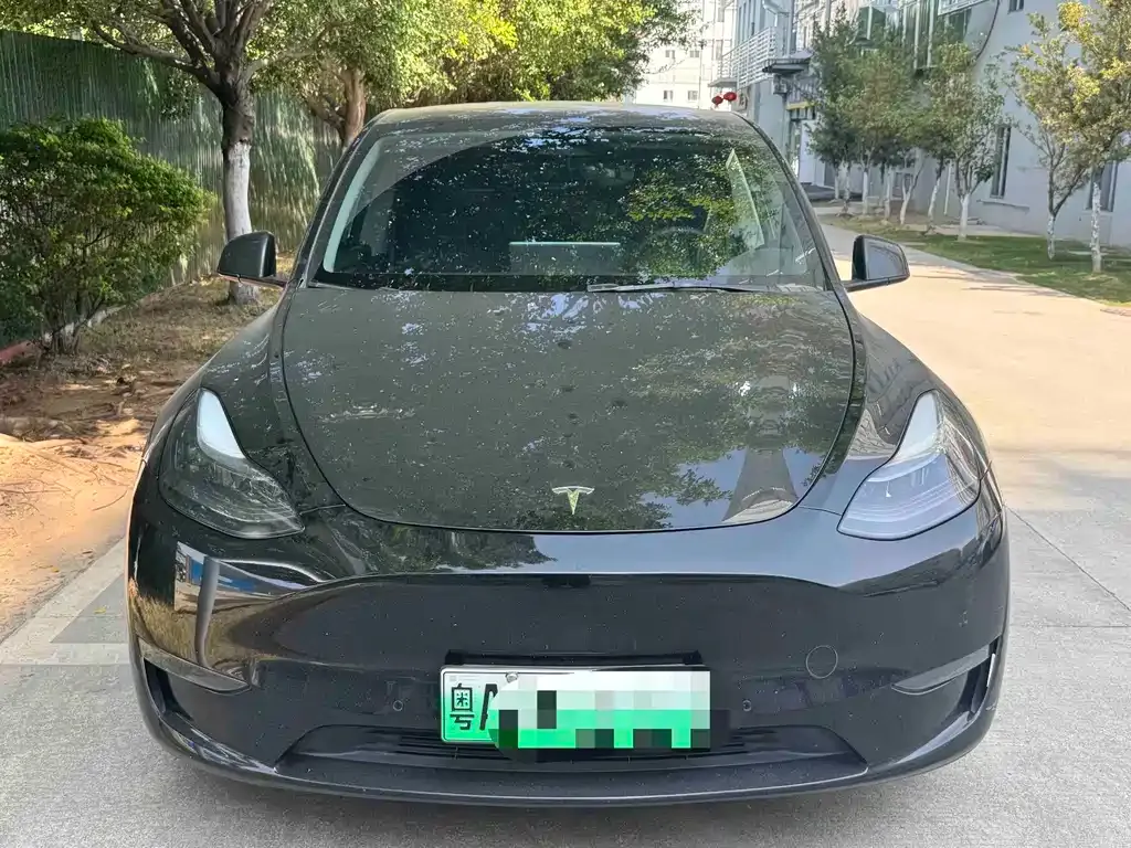 Tesla Model Y 2021 из CN, фото 9