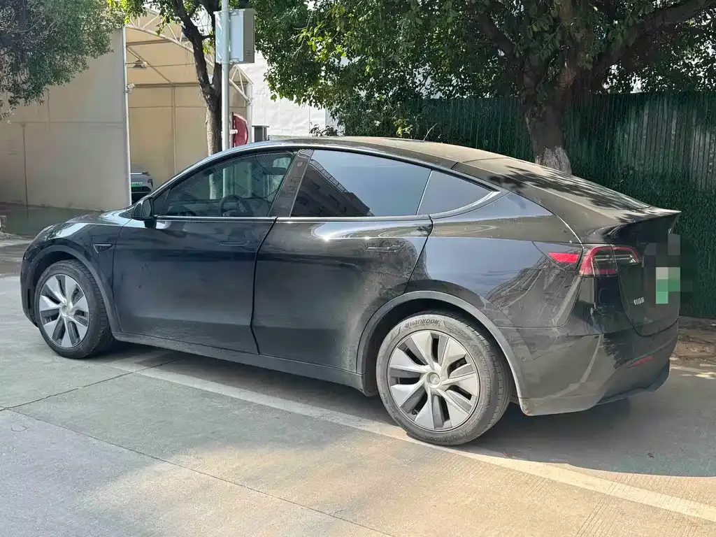 Tesla Model Y 2021 из CN, фото 7