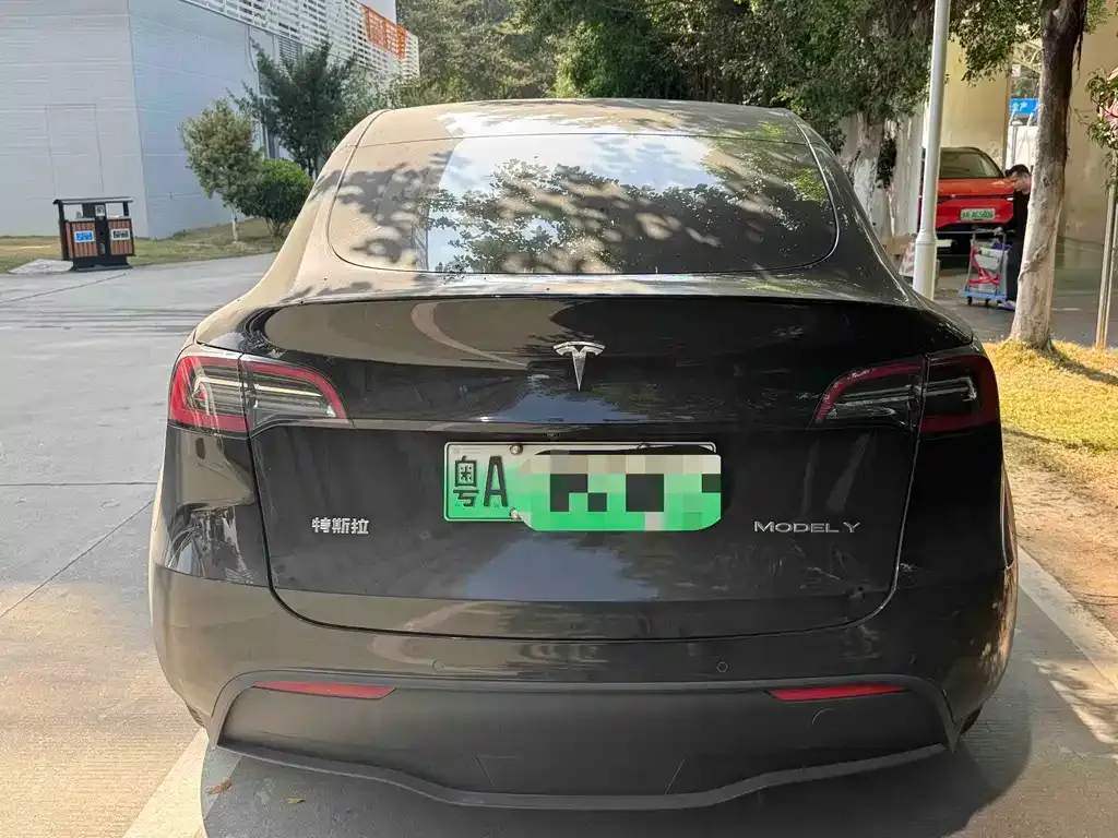 Tesla Model Y 2021 из CN, фото 5