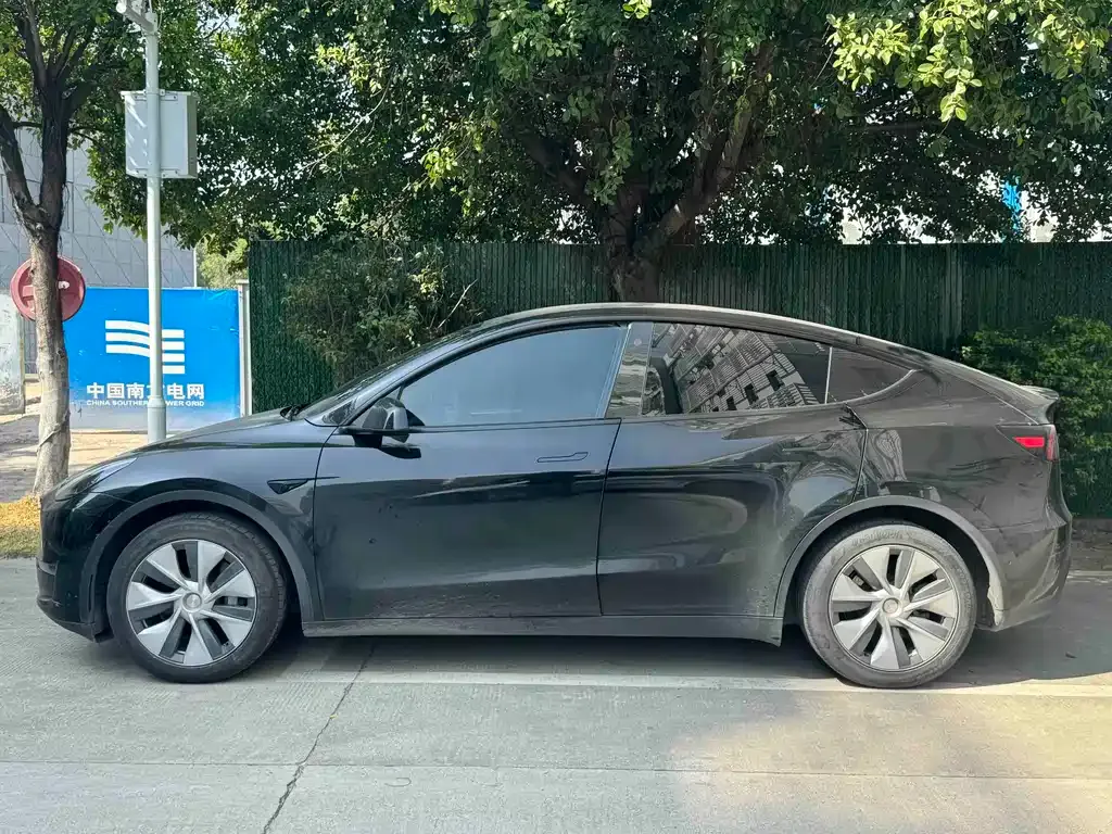 Tesla Model Y 2021 из CN, фото 10