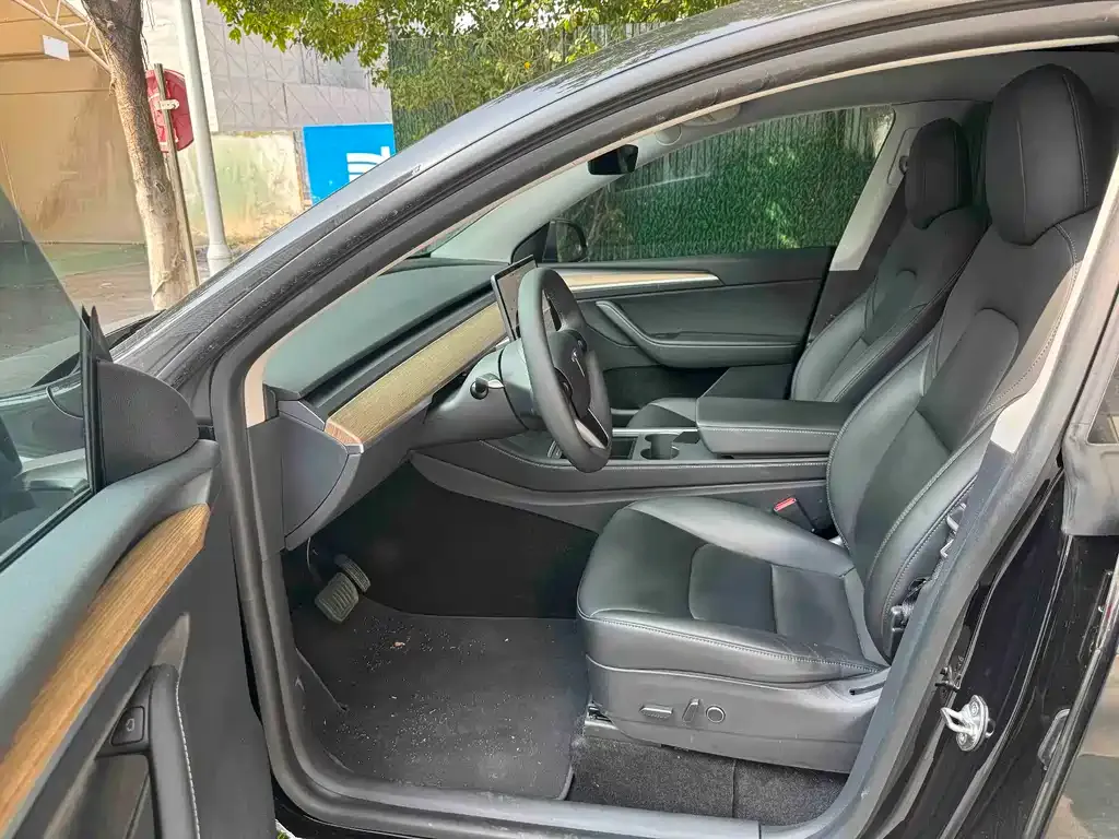 Tesla Model Y 2021 из CN, фото 3