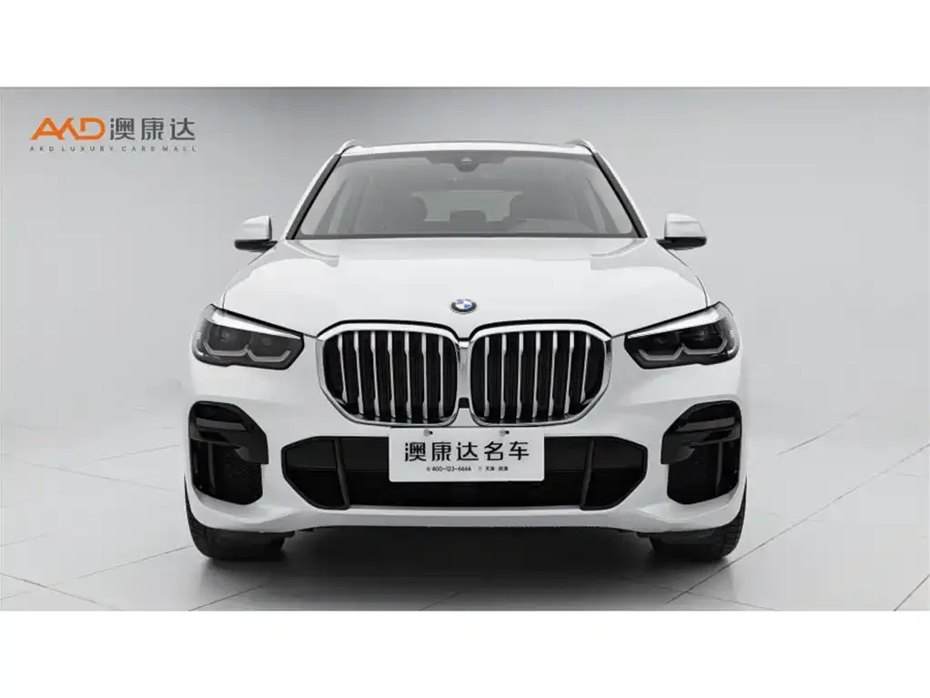 BMW X5 (Import) 2022 из CN, фото 7