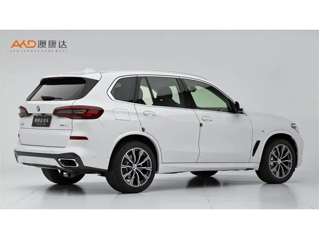 BMW X5 (Import) 2022 из CN, фото 3