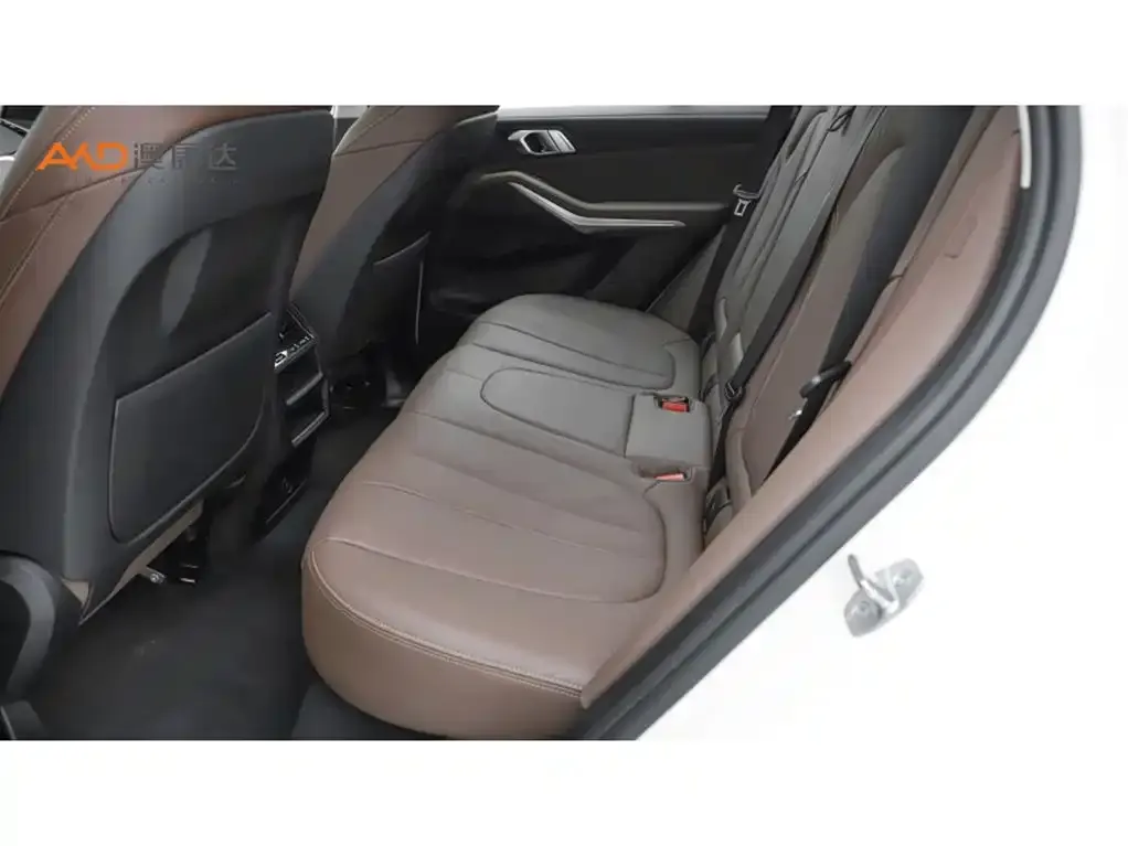BMW X5 (Import) 2022 из CN, фото 6