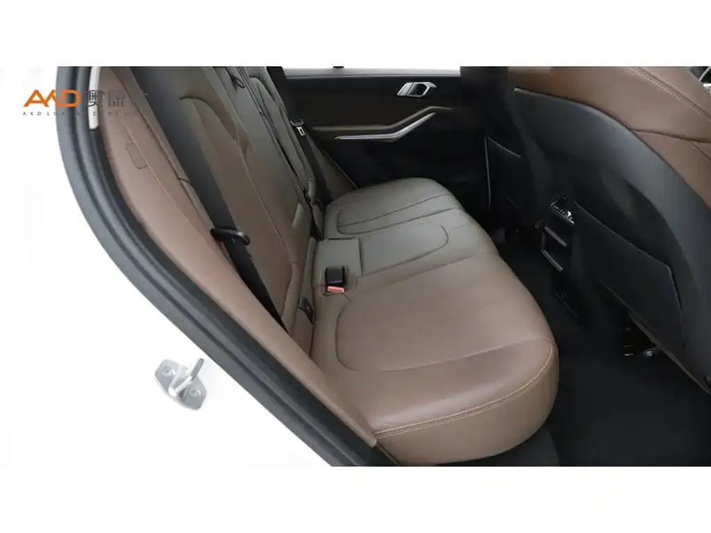 BMW X5 (Import) 2022 из CN, фото 8