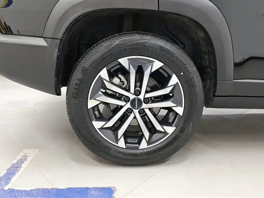 Haval Big Dog 2024 из CN, фото 8