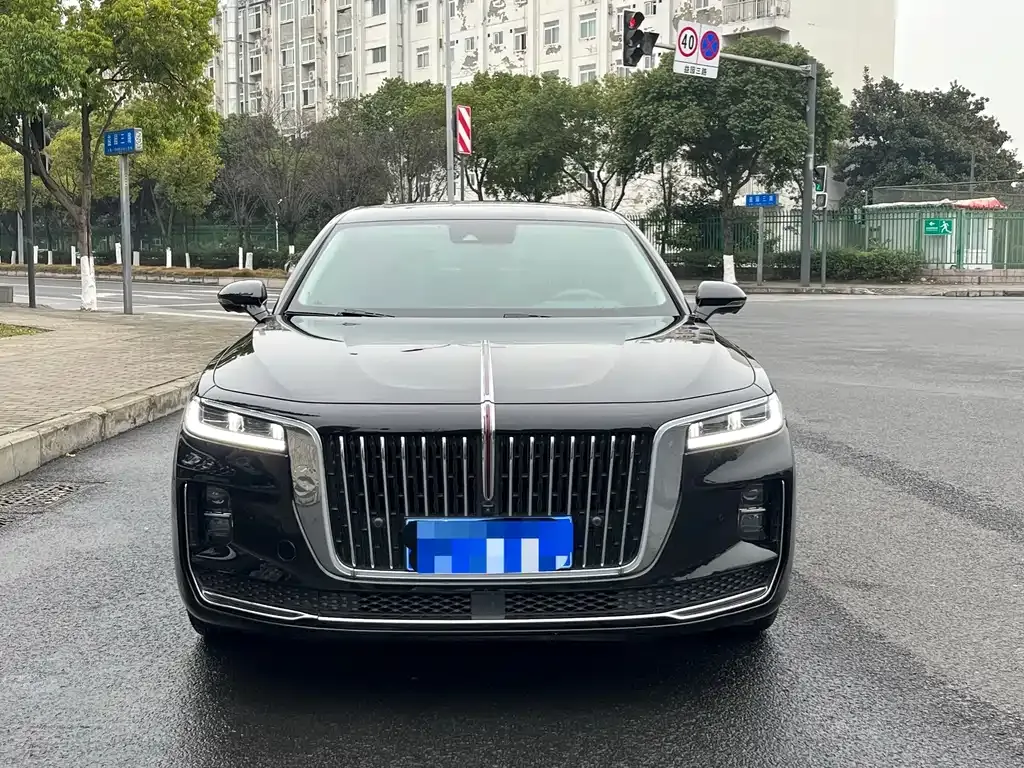 Hongqi H9 2021 из CN, фото 10