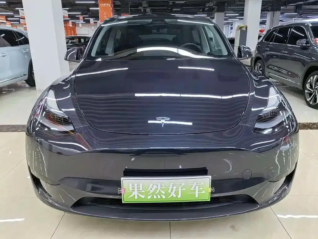 Tesla Model Y — фото 2