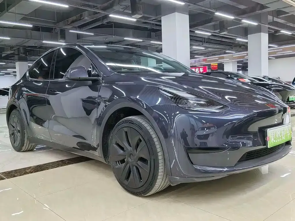 Tesla Model Y — фото 3