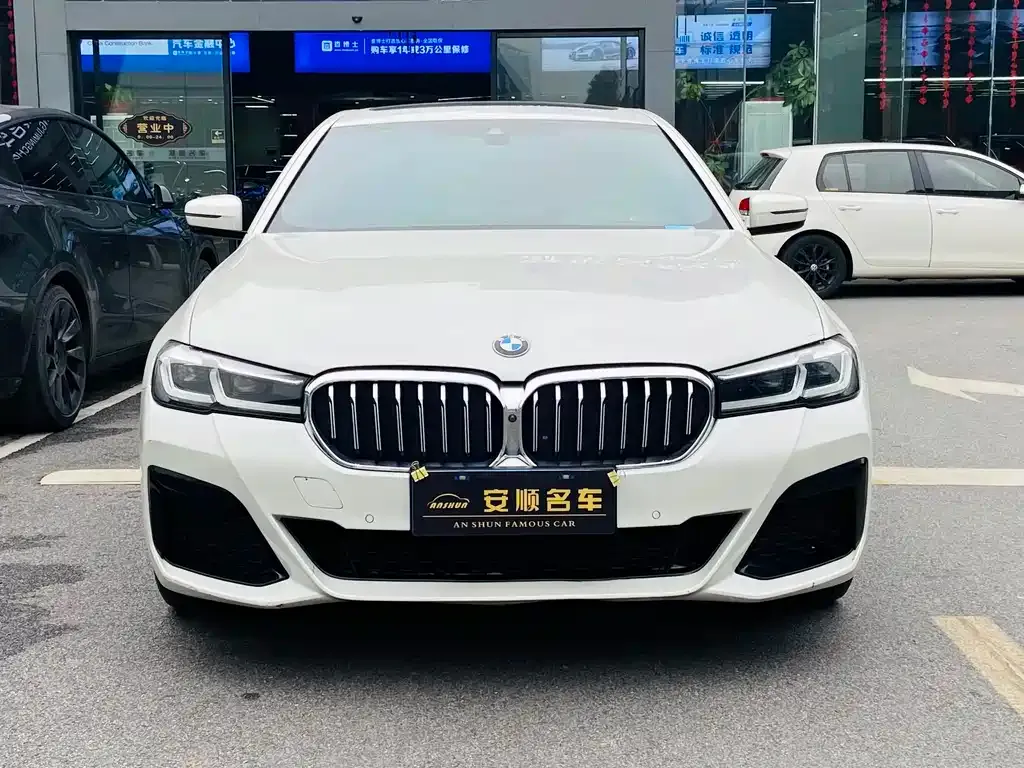 BMW 5 Series 2021 из CN, фото 1