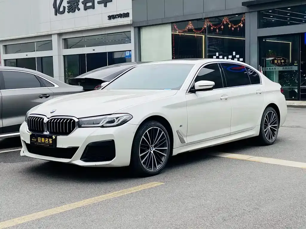 BMW 5 Series 2021 из CN, фото 2
