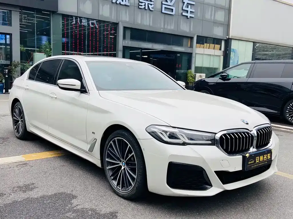 BMW 5 Series 2021 из CN, фото 6