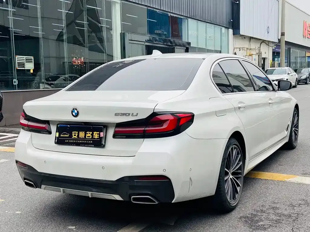 BMW 5 Series 2021 из CN, фото 3