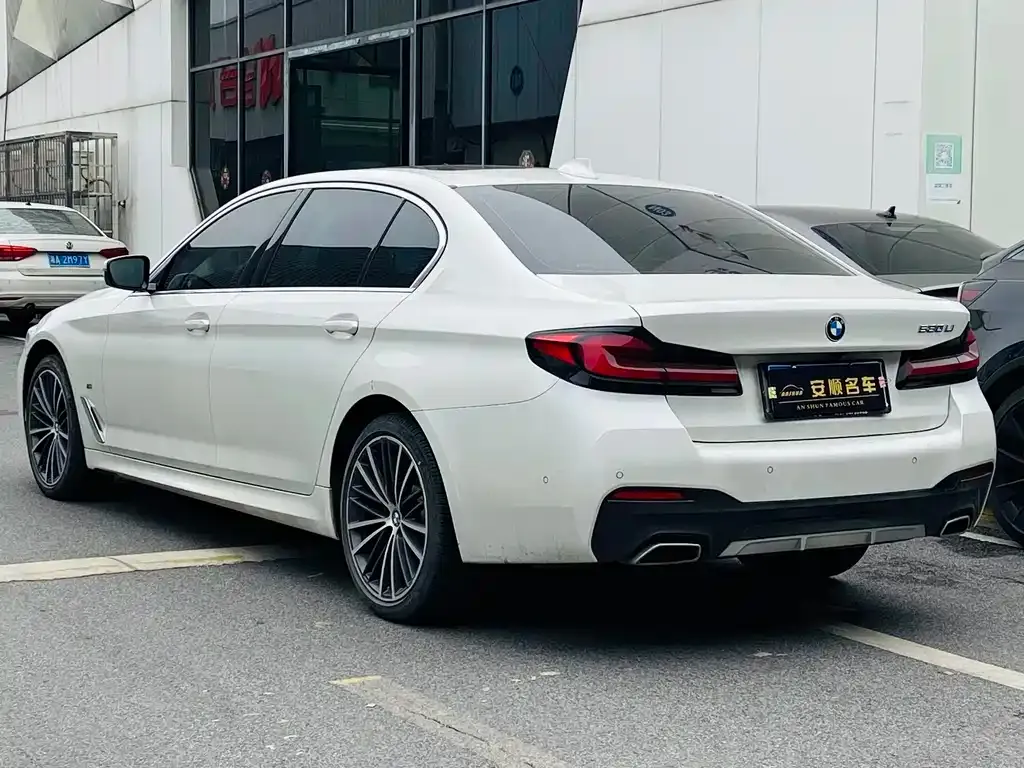 BMW 5 Series 2021 из CN, фото 7