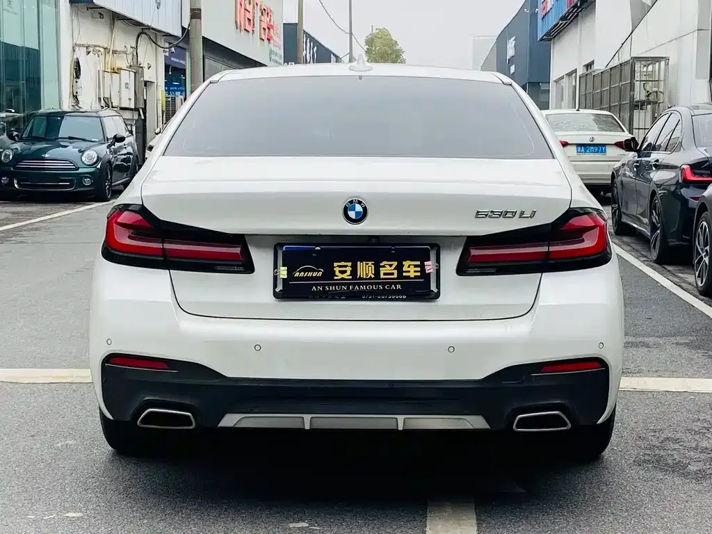 BMW 5 Series 2021 из CN, фото 4