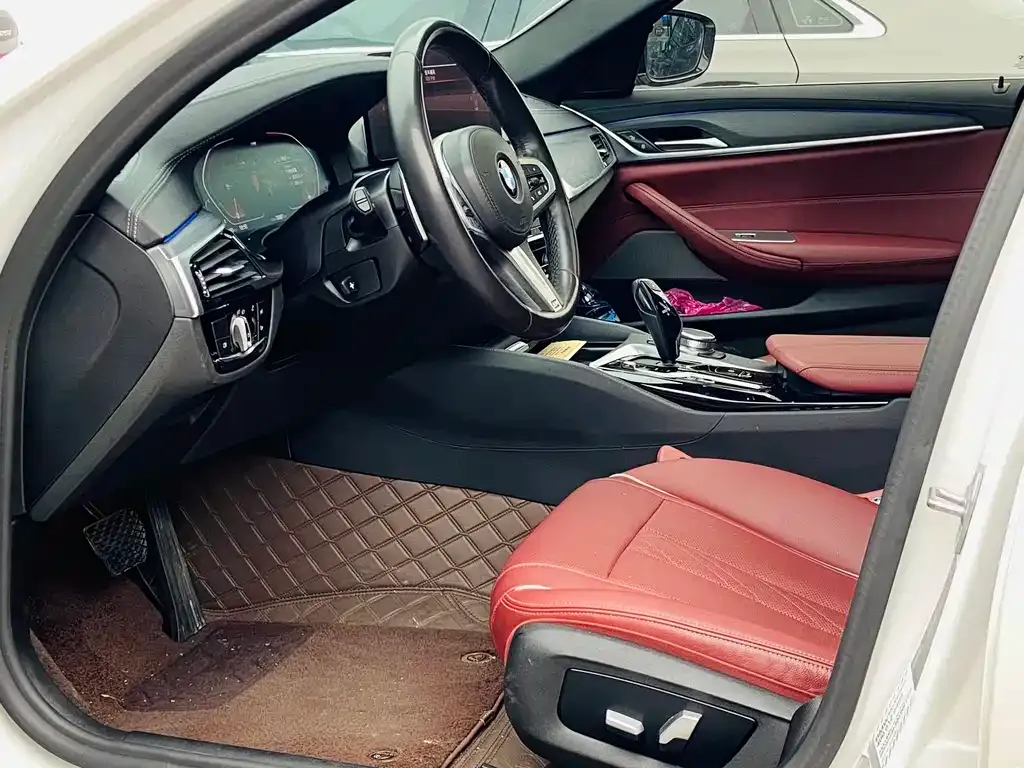 BMW 5 Series 2021 из CN, фото 5