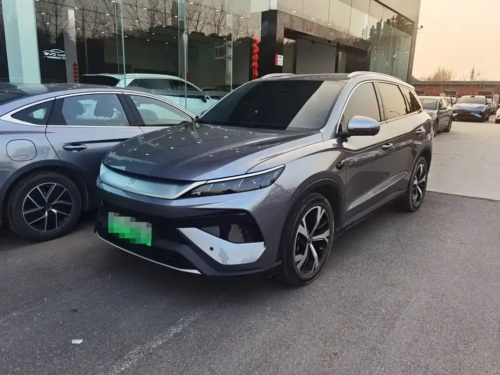 BYD Pro New Energy 2025 из CN, фото 1