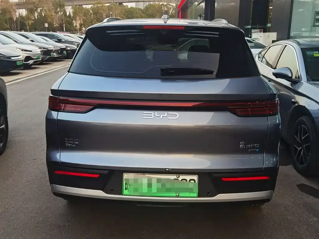 BYD Pro New Energy 2025 из CN, фото 3