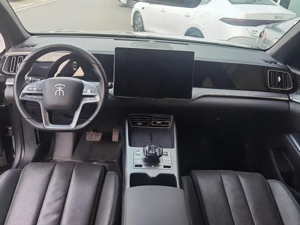 BYD Pro New Energy 2025 из CN, фото 4
