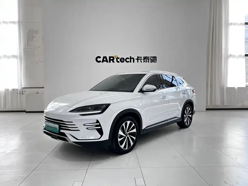 BYD PLUS New Energy 2023 из CN, фото 1