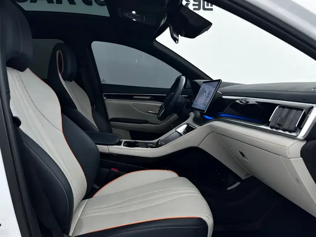 BYD PLUS New Energy 2023 из CN, фото 7