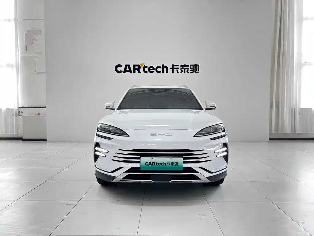 BYD PLUS New Energy 2023 из CN, фото 2