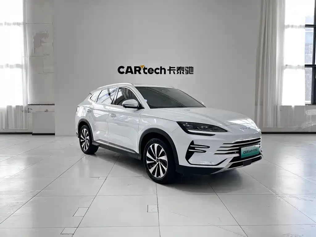 BYD PLUS New Energy 2023 из CN, фото 3