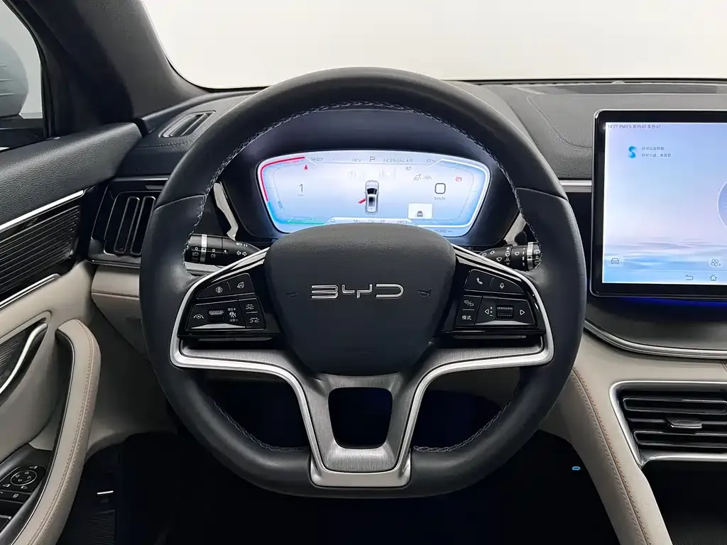 BYD PLUS New Energy 2023 из CN, фото 5
