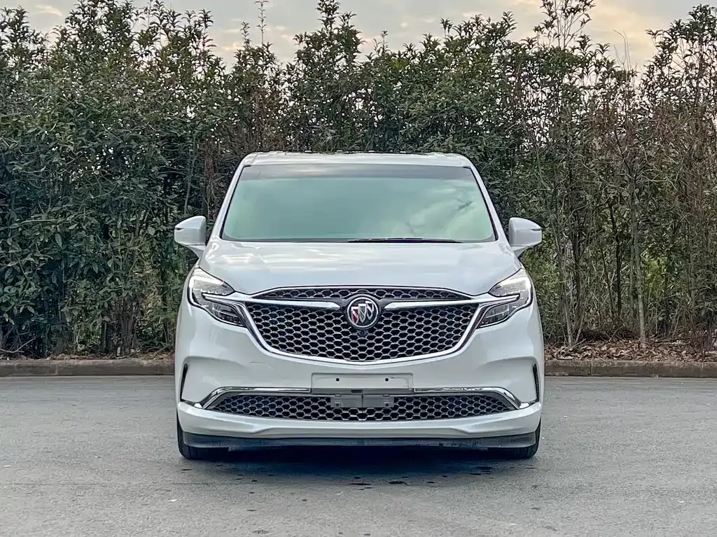 Buick GL8 2022 из CN, фото 5