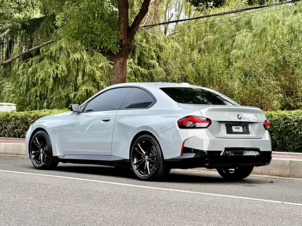 BMW 2 Series (Import) 2024 из CN, фото 9