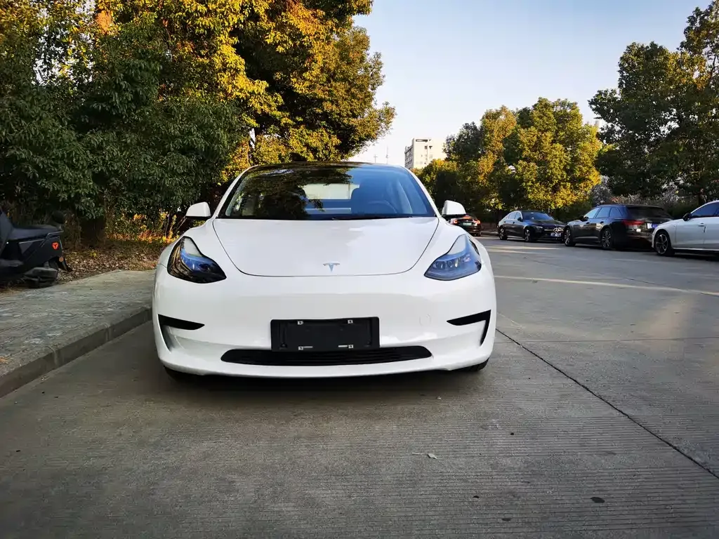 Tesla Model 3 — фото 2