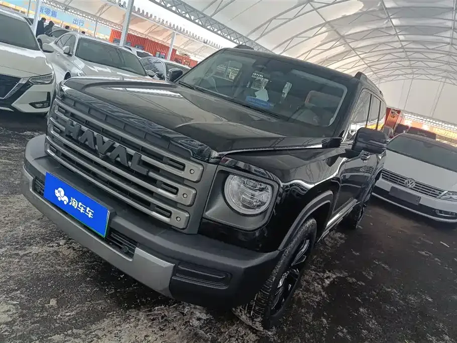 Haval Menglong New Energy 2024 из CN, фото 1