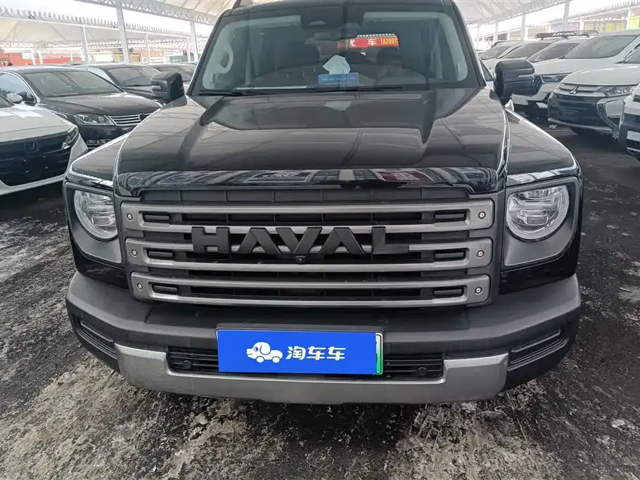 Haval Menglong New Energy 2024 из CN, фото 7